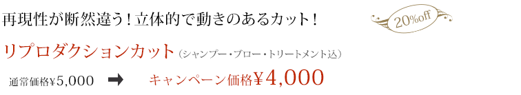 リプロダクションカット（シャンプー・ブロー・トリートメント込）キャンペーン価格¥4,000