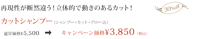 カットシャンプー　キャンペーン価格¥3,850